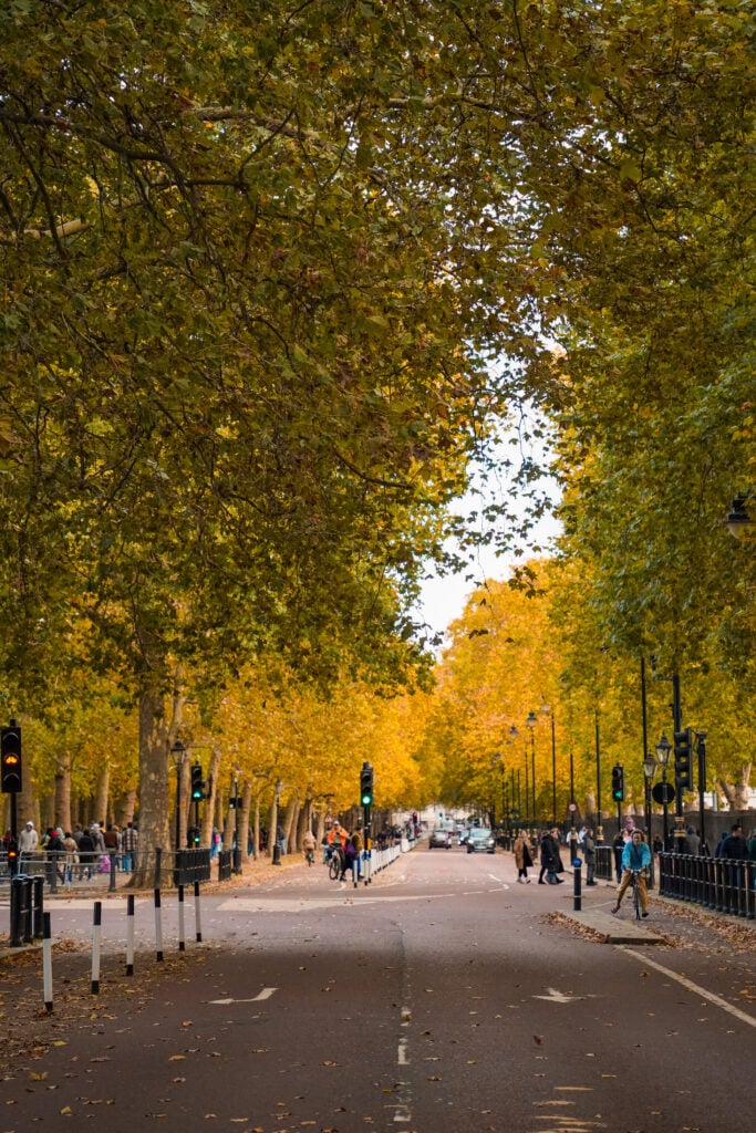 Buckingham Palace St. James Park, London
