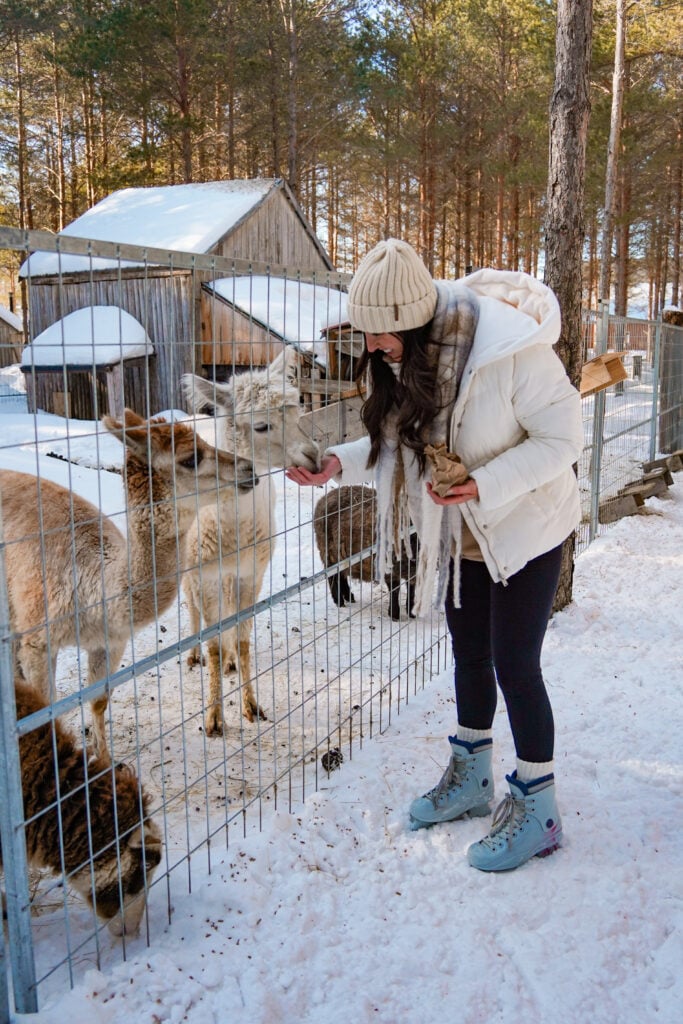 Domaine Enchanteur ice skating, Quebec, Canada