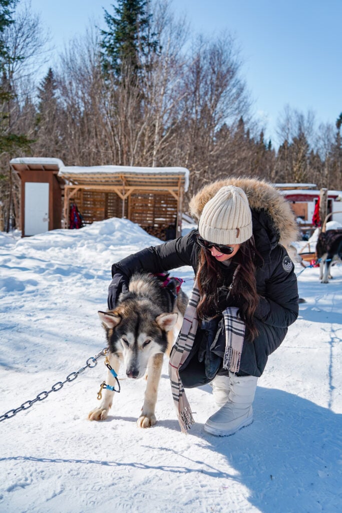 Dog sledding Quebec, Canada