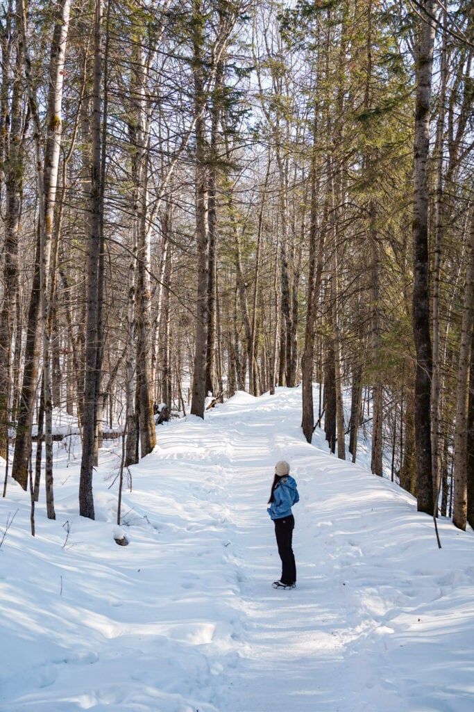 Chutes Jean-Larose Falls, Quebec, Canada