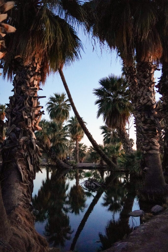 Papago Park, Phoenix, AZ