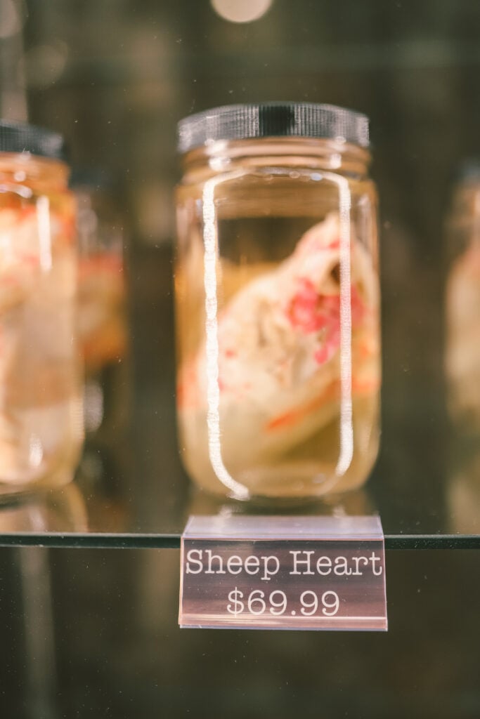 Curious Nature, Phoenix, AZ