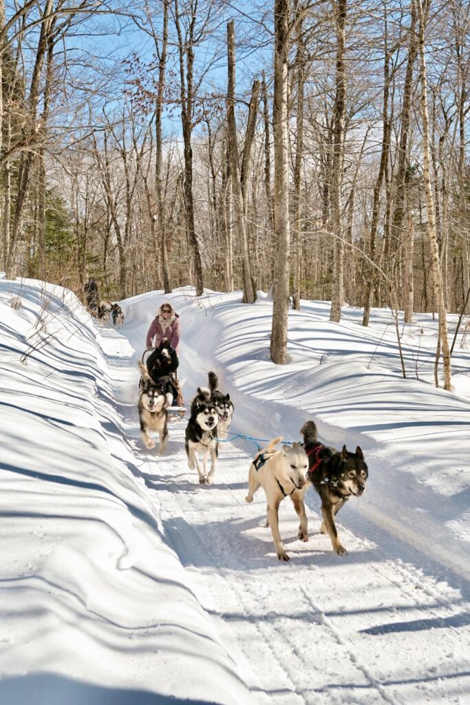 Dog sledding Quebec, Canada