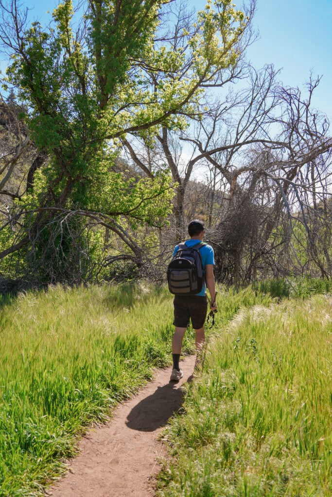Fossil Springs, Arizona