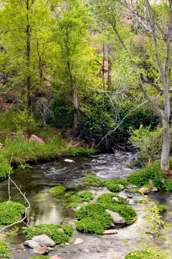 Fossil Springs, Arizona