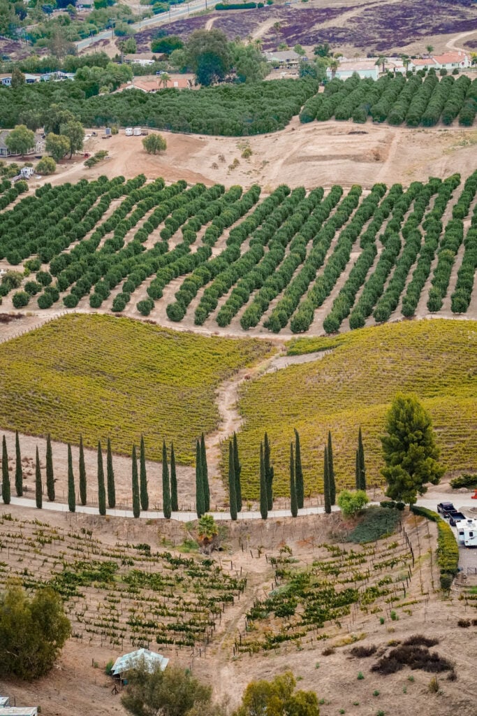 Temecula Valley Wine Country, Murrieta, California