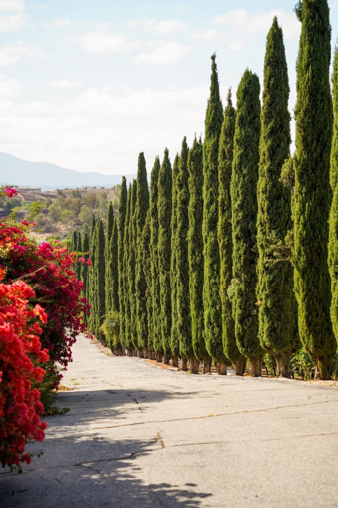 Temecula Valley Wine Country, Murrieta, California