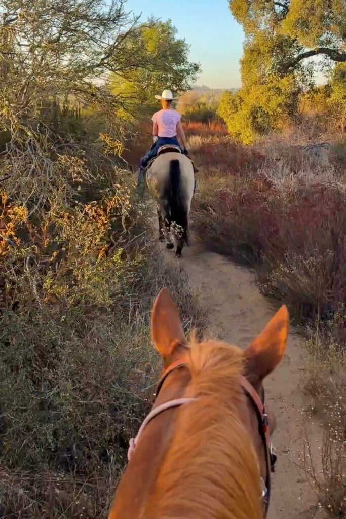 Susie Q Ranch, Murrieta, California