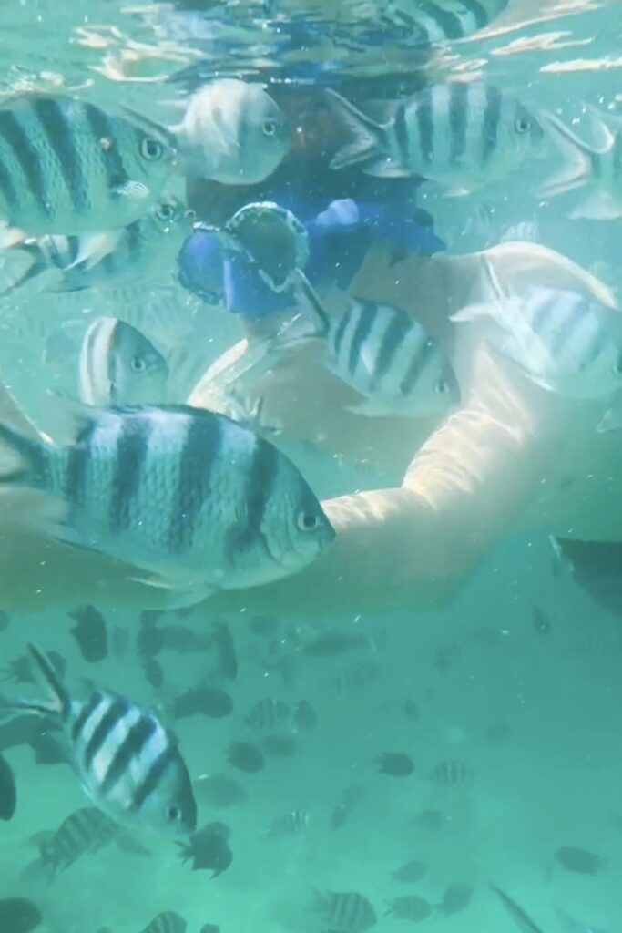 Island hopping tour, Coron Island, Palawan, Philippines